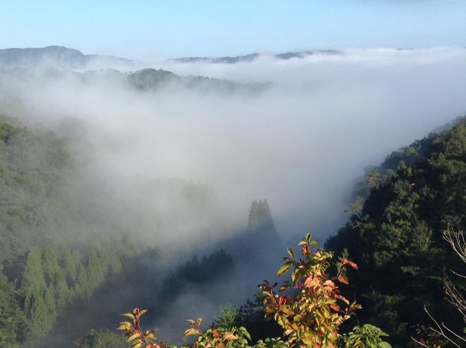 豊岡盆地の霧